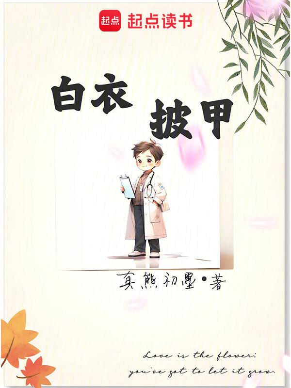 白衣披甲在线阅读