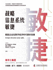 战略信息系统敏捷：赋能企业在数字经济时代更好发展