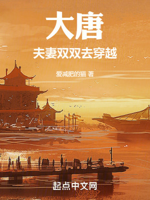 大唐：夫妻双双去穿越在线阅读