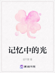 记忆中的光在线阅读