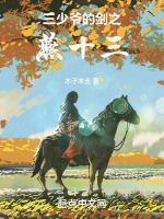 三少爷的剑之燕十三封面