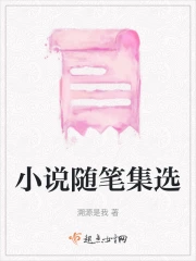 小说随笔集选》小说在线阅读-起点中文网手机端