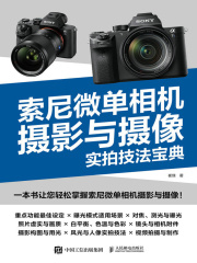 索尼微单相机摄影与摄像实拍技法宝典