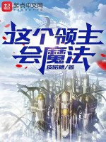 这个领主会魔法！封面