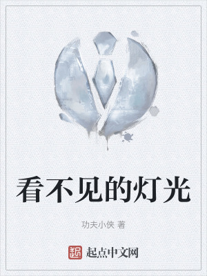 看不见的灯光在线阅读