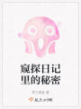 窥探日记里的秘密在线阅读