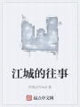 江城的往事在线阅读