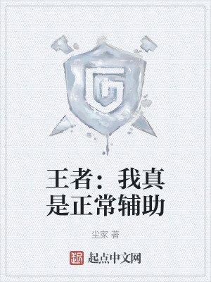 王者：我真是正常辅助在线阅读
