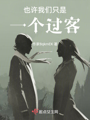 也许我们只是一个过客在线阅读