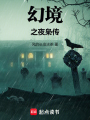 幻境之夜枭传