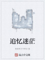 追忆迷茫在线阅读