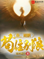 我，鲲鹏，苟住别浪在线阅读