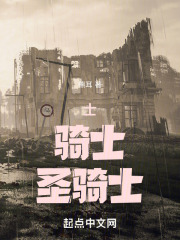 士，骑士，圣骑士在线阅读