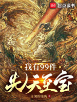 我有99件先天至宝封面