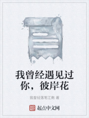 我曾经遇见过你，彼岸花在线阅读