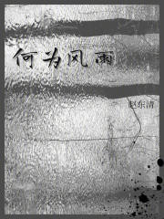 何为风雨在线阅读