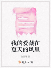 我的爱藏在夏天的风里在线阅读