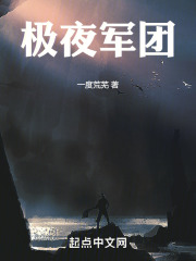 极夜军团