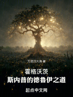 霍格沃茨：斯内普的德鲁伊之道封面
