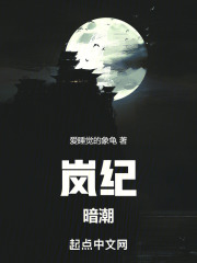 岚纪：暗潮在线阅读