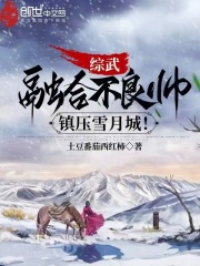 综武：融合不良帅，镇压雪月城！在线阅读
