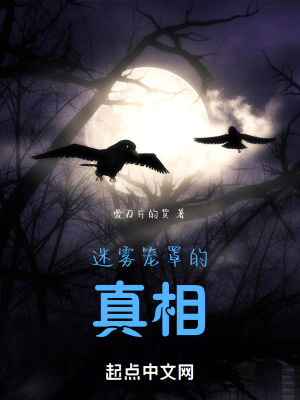 迷雾笼罩的真相在线阅读
