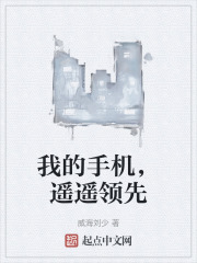 我的手机，遥遥领先在线阅读