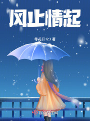 风止情起在线阅读
