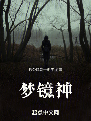 梦镜神在线阅读