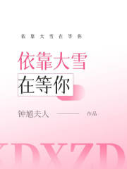 依靠大雪在等你
