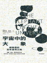 宇宙中的大象