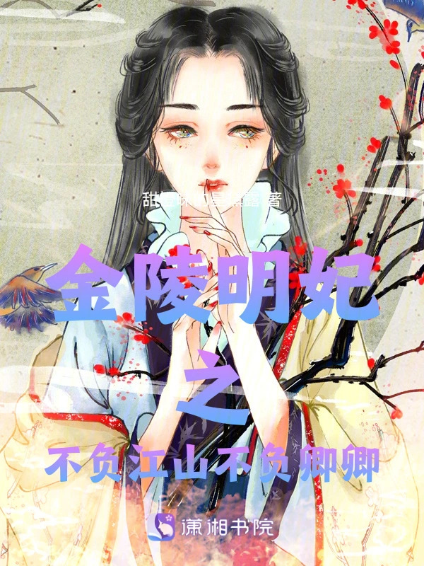 金陵明妃之不负江山不负卿卿