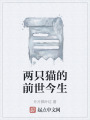 两只猫的前世今生在线阅读