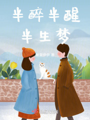 半醉半醒半生梦在线阅读