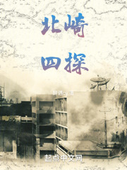 北崎四探在线阅读