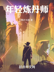 年轻炼丹师