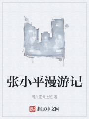 张小平漫游记在线阅读
