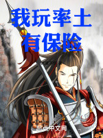 我玩率土有保险封面