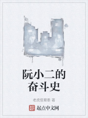 阮小二的奋斗史在线阅读