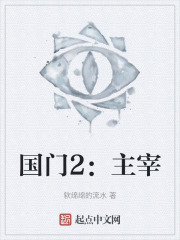 国门2：博弈在线阅读