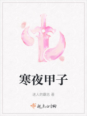 寒夜甲子在线阅读