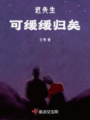 迟先生，可缓缓归矣在线阅读
