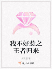 我不好惹之王者归来在线阅读