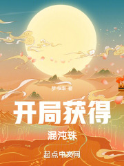 开局获得混沌珠