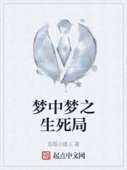 梦中梦之生死局