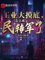 工业大摸底，怎么成民转军了？封面