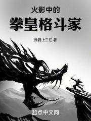 火影中的拳皇格斗家在线阅读