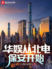 从北电保安