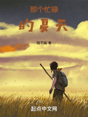 那个忙碌的夏天在线阅读