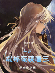 斗罗：提棒夜袭唐三